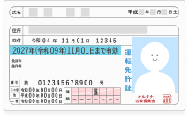 driver-licence