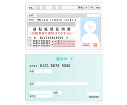 /images/identification/keireki.png
